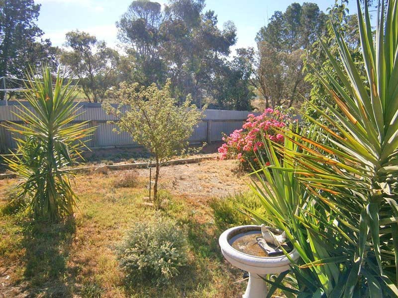 22 Smith Drive, Waikerie SA 5330