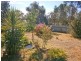 22 Smith Drive, Waikerie SA 5330