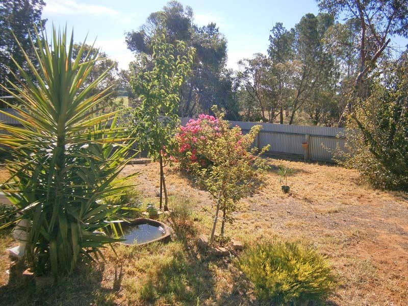 22 Smith Drive, Waikerie SA 5330