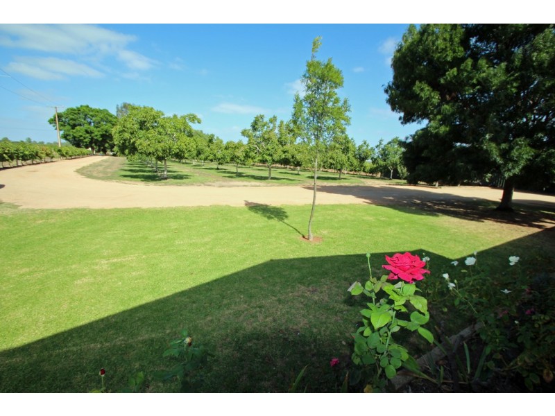 139 Twenty Eighth Street, Renmark SA 5341