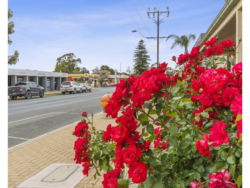 Lot 1 Coombe Terrace, Waikerie SA 5330