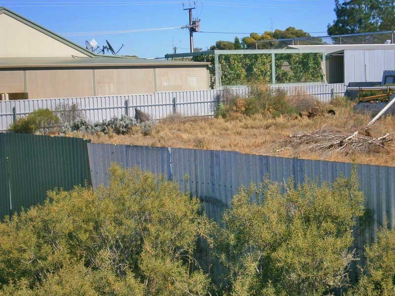 Lot 230 and 231 Rider Street, Blanchetown SA 5357