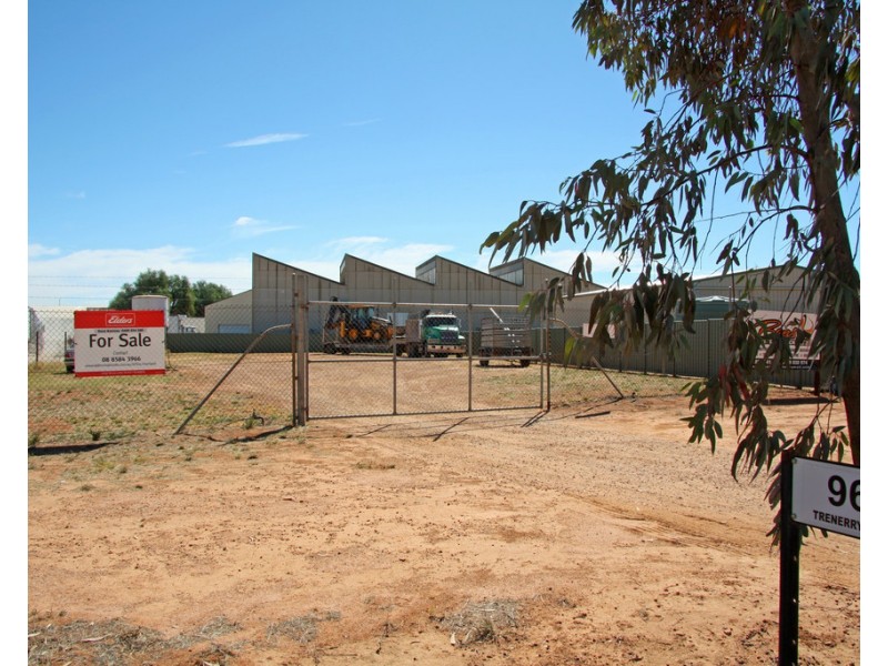 96 Trenerry Avenue, Loxton SA 5333