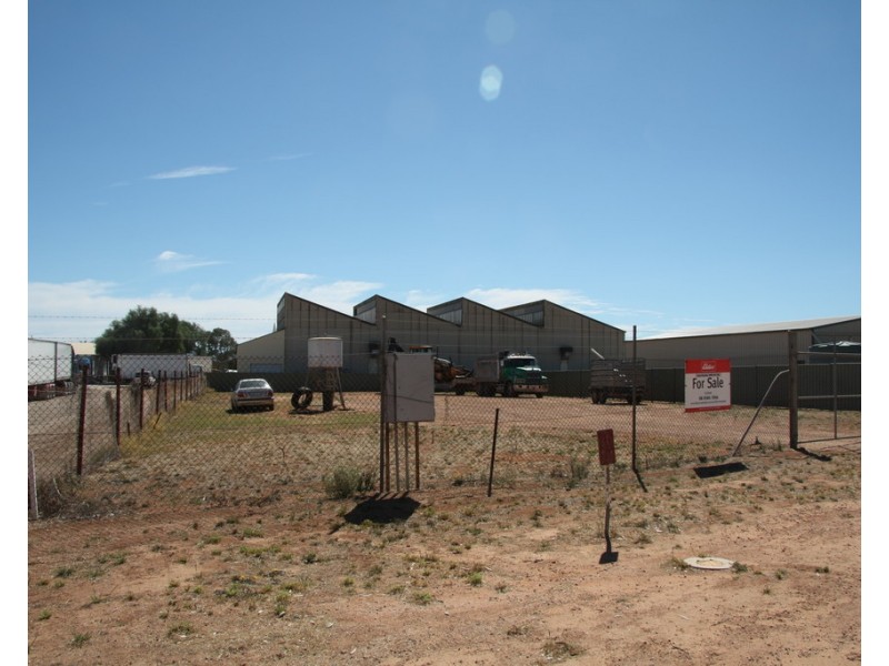 96 Trenerry Avenue, Loxton SA 5333