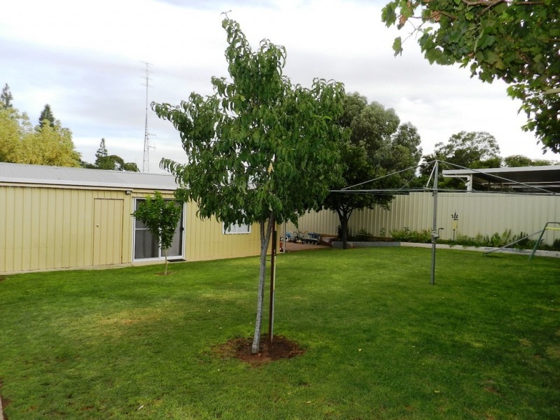 12 Aitken Street, Berri SA 5343