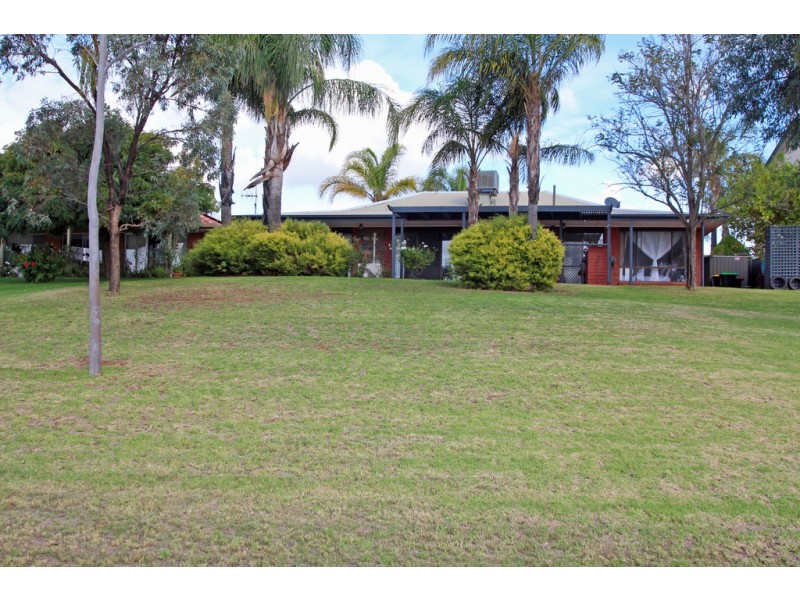 4 Cocos Place, Renmark SA 5341