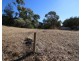 15 O’Malley Street, Berri SA 5343