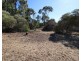 15 O’Malley Street, Berri SA 5343