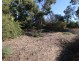 15 O’Malley Street, Berri SA 5343