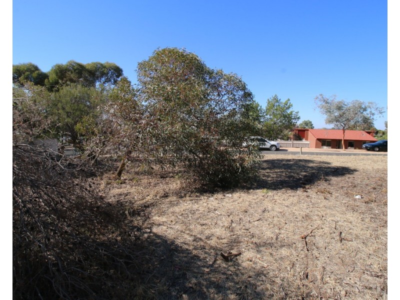 15 O’Malley Street, Berri SA 5343