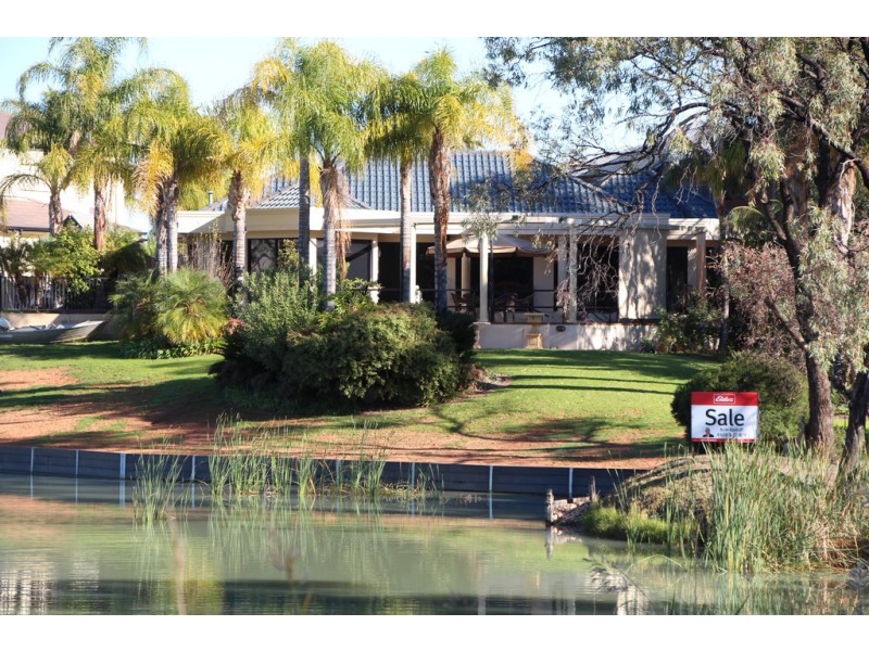 8 Palm Court, Renmark SA 5341
