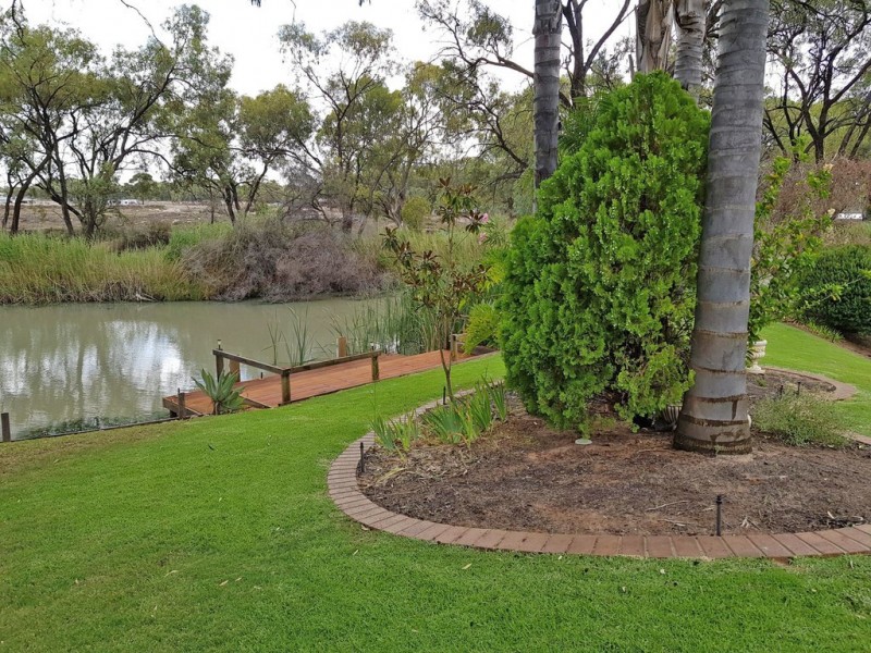 8 Palm Court, Renmark SA 5341