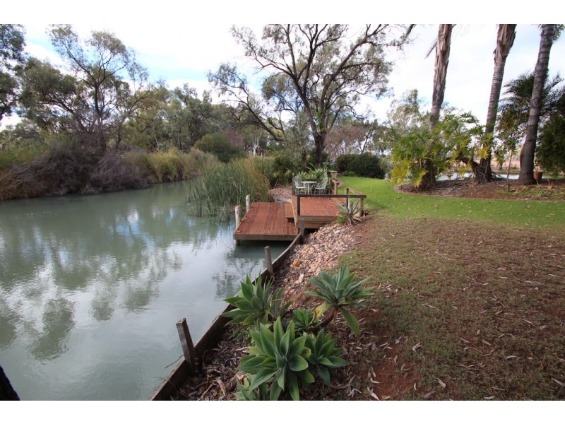 8 Palm Court, Renmark SA 5341