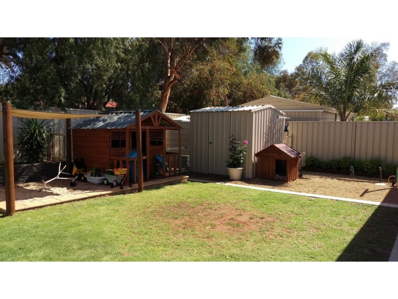 11 Bosman Drive, Berri SA 5343