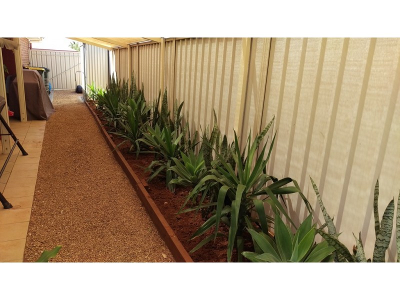 11 Bosman Drive, Berri SA 5343