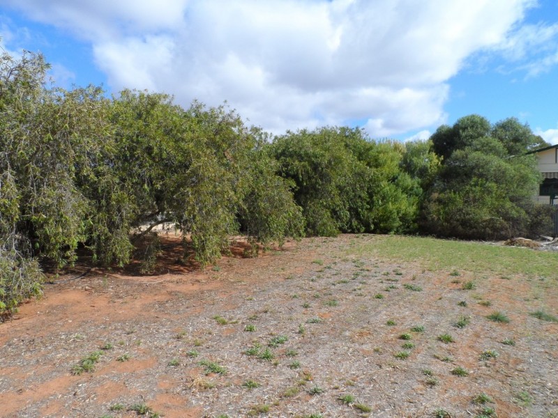 5 Borneo Street, Loxton North SA 5333