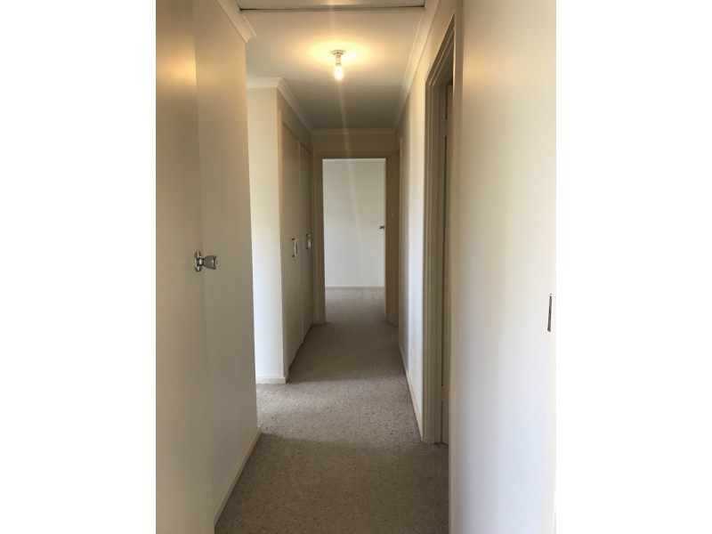24 Kokoda Terrace, Loxton SA 5333