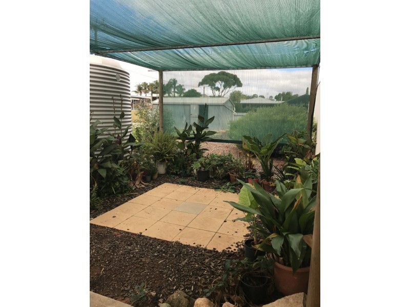 24 Kokoda Terrace, Loxton SA 5333