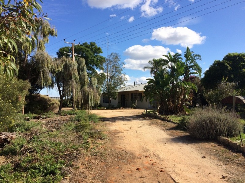297 French Road, Loxton North SA 5333