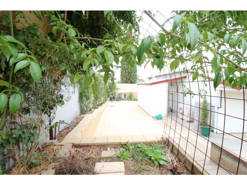 3 O’Hanez Street, Berri SA 5343