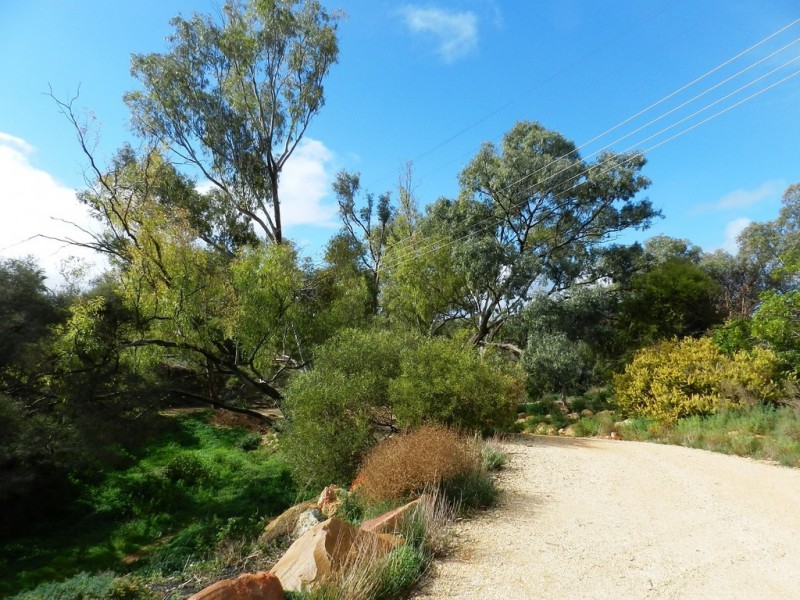 1184 Old Sturt Highway, Berri SA 5343