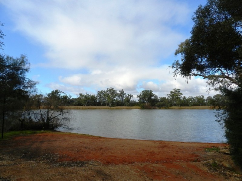 1184 Old Sturt Highway, Berri SA 5343