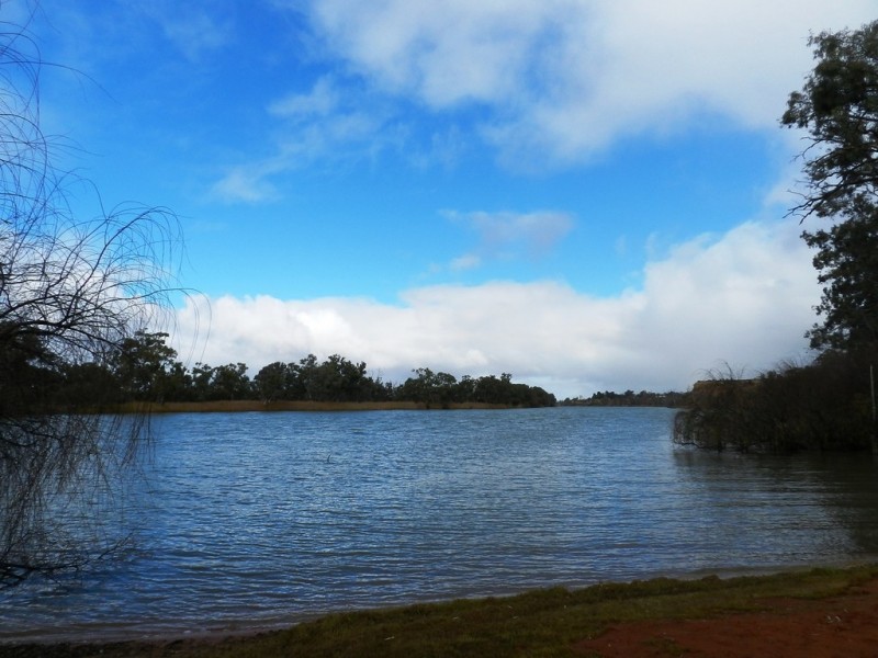 1184 Old Sturt Highway, Berri SA 5343