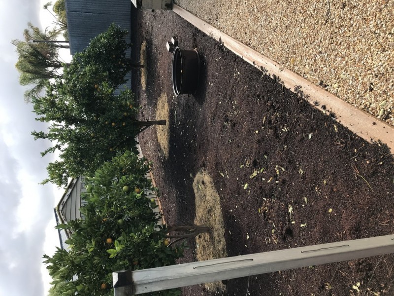 1574 Bookpurnong Road, Loxton North SA 5333