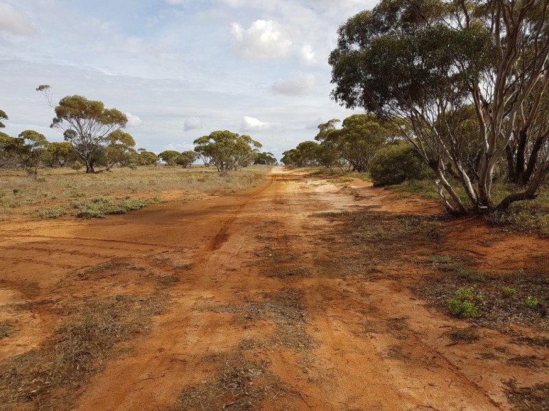 Lot 1 Payne Road, Loxton SA 5333