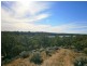 Lot 422 Dalziel Road, Cadell SA 5321