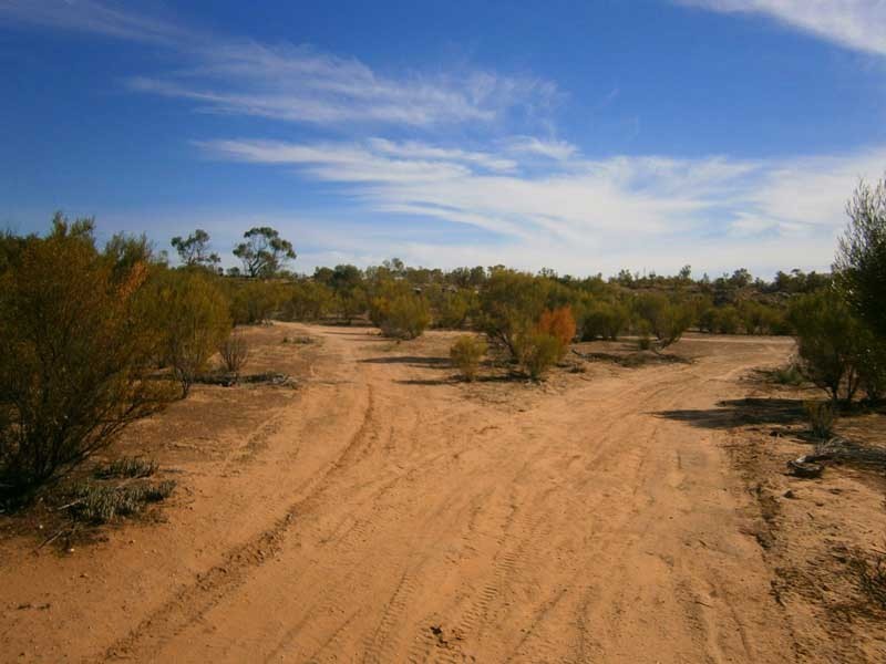 Lot 422 Dalziel Road, Cadell SA 5321