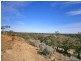 Lot 422 Dalziel Road, Cadell SA 5321