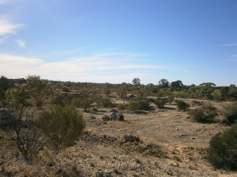 Lot 422 Dalziel Road, Cadell SA 5321