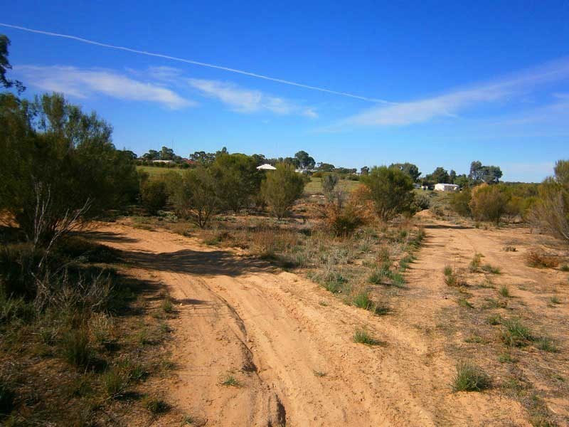 Lot 422 Dalziel Road, Cadell SA 5321