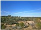 Lot 422 Dalziel Road, Cadell SA 5321