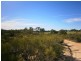 Lot 422 Dalziel Road, Cadell SA 5321