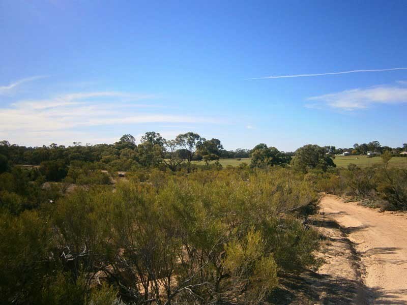 Lot 422 Dalziel Road, Cadell SA 5321