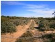 Lot 422 Dalziel Road, Cadell SA 5321