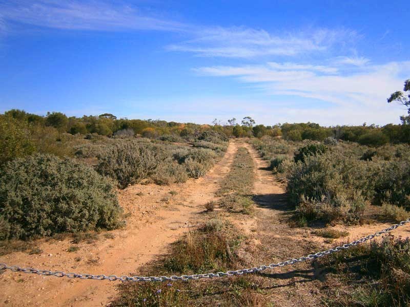Lot 422 Dalziel Road, Cadell SA 5321