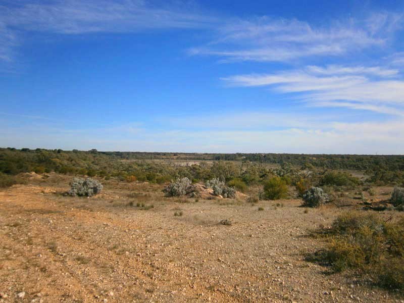Lot 422 Dalziel Road, Cadell SA 5321