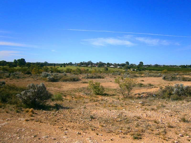 Lot 422 Dalziel Road, Cadell SA 5321
