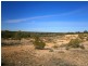 Lot 422 Dalziel Road, Cadell SA 5321