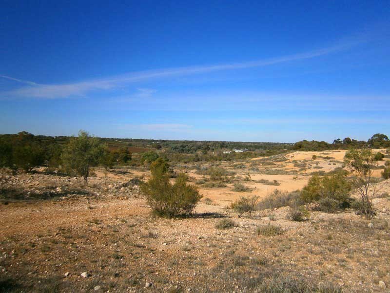 Lot 422 Dalziel Road, Cadell SA 5321