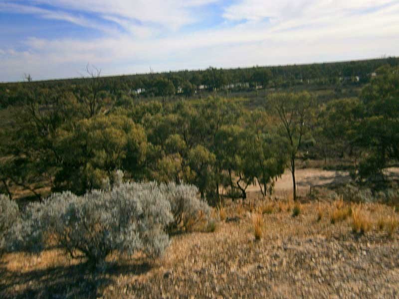 Lot 422 Dalziel Road, Cadell SA 5321