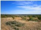 Lot 422 Dalziel Road, Cadell SA 5321
