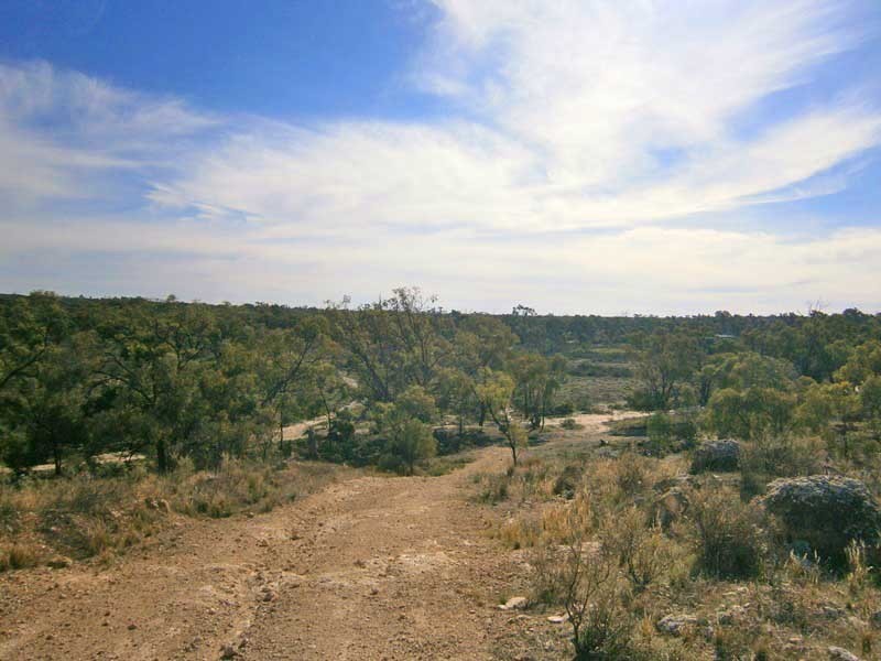Lot 422 Dalziel Road, Cadell SA 5321