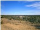 Lot 422 Dalziel Road, Cadell SA 5321