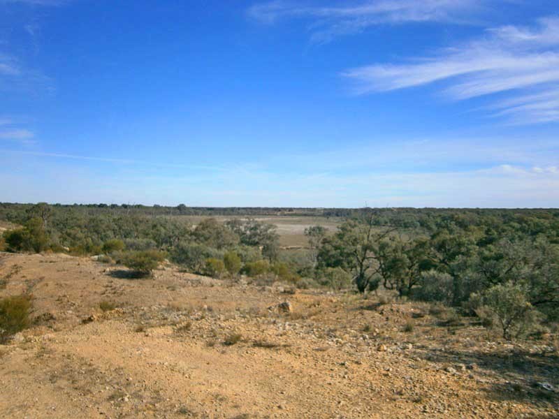 Lot 422 Dalziel Road, Cadell SA 5321