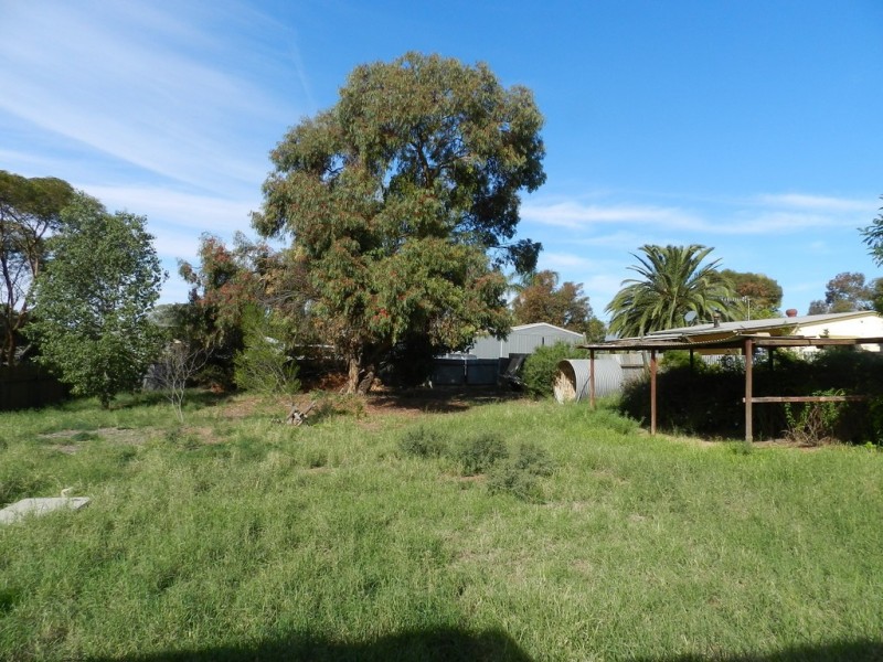 31 Pope Street, Kingston On Murray SA 5331