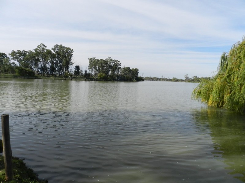 31 Pope Street, Kingston On Murray SA 5331